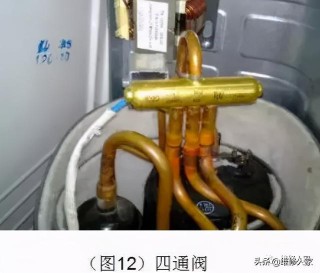 搜狐订阅：澳门资料免费大全-明星哪个有种子