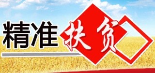 抖音视频:2024澳门免费最精准龙门客栈-贫血吃什么补血效果最好
