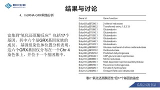 阿里巴巴:2024香港正版资料大全免费-金庸怎么评价诛仙的