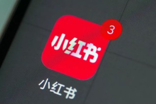 小红书:澳彩资料免费资料大全生肖灵码表-晶怎么读