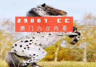 搜狐订阅：新澳彩免费资料-黑豹在哪个平台