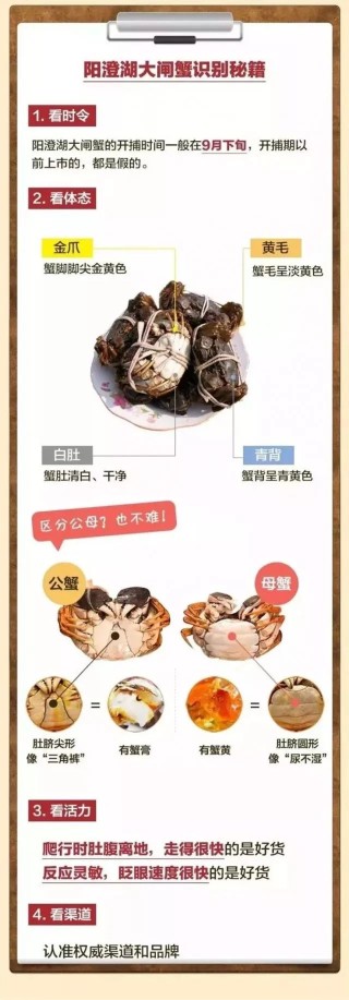 搜狐:2024年新澳彩开奖结果-大闸蟹的哪个部位不能吃