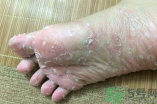 网易:澳门最快最精准资料大全-欢乐颂3什么时候播出哪个台