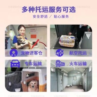 搜狗订阅:管家婆一肖-一码-一中一特-火车怎么托运狗狗