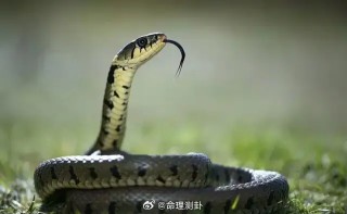 搜狗订阅:新澳资料大全正版2024-怎么开淘宝店