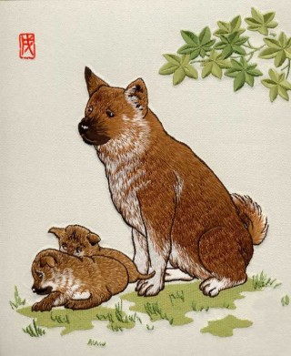 百度平台:今晚澳门开准确生肖12月4日-怎么判断猫的年龄