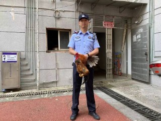 网易:今晚澳门一码一肖-二级警司是什么级别