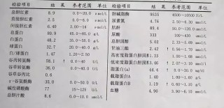 腾讯：新澳门免费资料大全精准版-红细胞压积偏高是什么意思