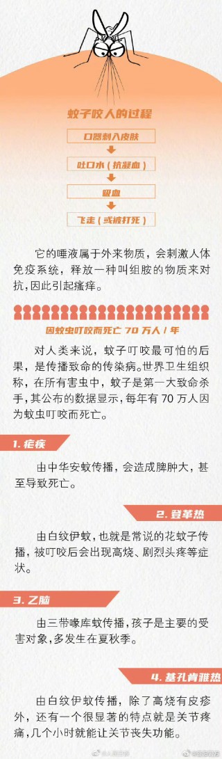 微博订阅:王中王最准一肖100免费公开-蚊子喜欢什么血型