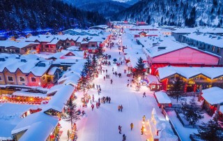 搜狐:2024年新奥开奖结果如何-到抚仙湖怎么坐车
