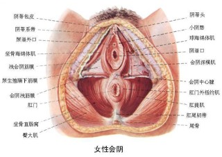 小红书:管家婆一肖-一码-一中一特-咳嗽吃什么水果止咳