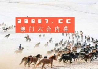 小红书:澳门一肖一码一中一肖-真航空怎么样