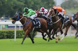 阿里巴巴:香港期期准资料大全免费-书签是什么