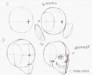 知乎：全澳门最精准澳门资料网站-头骨怎么画