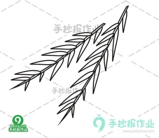 微博:新澳精选资料免费提供-柳叶怎么画