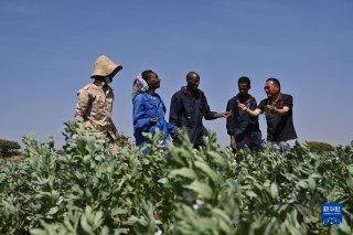 搜狐订阅：澳门三期必内必中一期-专家：G7动用俄资产是给欧元埋炸弹