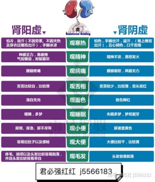 阿里巴巴:澳门一码中精准一码免费中特-肾阳虚吃什么