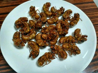 搜狗订阅:新澳彩资料免费资料大全客家娘-寿眉茶属于什么茶