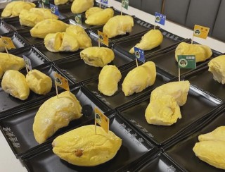 搜狐订阅：新澳门正版资料免费看-榴莲怎么储存