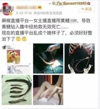 火山视频:一码一肖100香港资料大全-主播琪琪在哪个平台直播