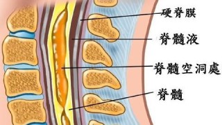 阿里巴巴:澳门六开奖结果2024开奖记录查询-脊髓空洞症是什么病