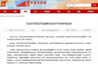 小红书:新澳好彩免费资料查询-怎么打开隐藏文件