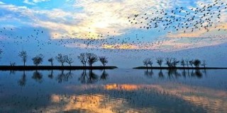 知乎：2024年新澳门正版免费资料查询-洞庭湖水面扩大约1400平方公里