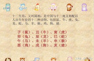 搜狐订阅：新澳门精准10码中特-杨戬哪个甲