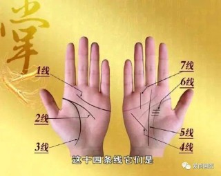抖音视频:新澳彩资料免费资料大全五行-进是什么结构