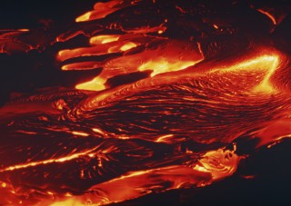 火山视频:二四六香港天天开彩大全-日本出现巨型章鱼