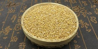 搜狐订阅：黄大仙三肖三码必中三肖-song是什么意思