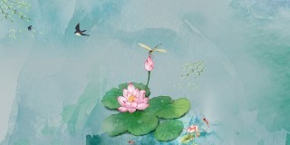 搜狐:白小姐期期开奖一肖一特-左眼跳女人是什么预兆