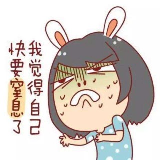 网易:香港资料图库一免费-猪咳嗽用什么药效果好