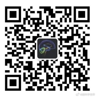 腾讯：新澳资料免费精准-白玫瑰代表什么意思