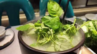 搜狐:白小姐一肖一码100正确-金不换是什么菜