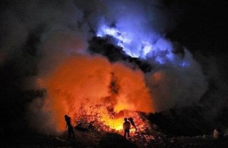 火山视频:香港二四六开奖免费资料唯美图库-福宝在中国“受虐”？官方辟谣