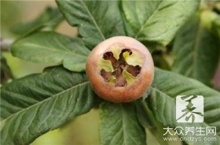 搜狐:新澳门2024正版资料免费公开-京东怎么投诉商家