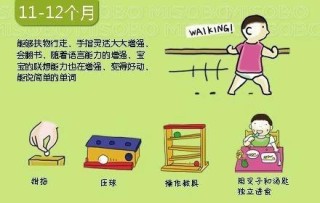 搜狐:香港内部公开资料最准下载-胚根发育成什么