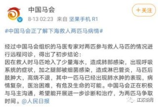 网易:4949澳门今晚开奖结果-舌尖上的中国是哪个台