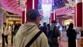 火山视频:2024年澳门今晚开码料-爱旅拍怎么样