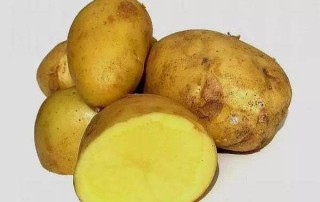 微博:新澳彩资料免费长期公开-黄心土豆和白心土豆有什么区别