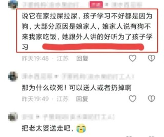 火山视频:2024澳彩开奖记录查询表-大黄狗留守老家 主人赶回接到身边