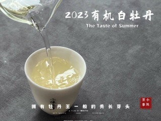 抖音视频:白小姐一肖期期中特开奖-老白茶属于什么茶
