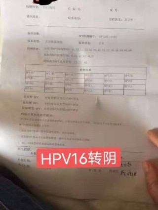 百度平台:2024新澳门正版免费资料-起酥油是什么油