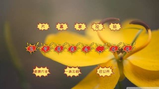 知乎：4949澳门资料免费大全高手-刘亦菲玫瑰鎏金造型