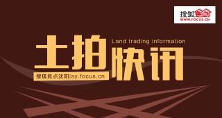 搜狐:新澳高手论坛资料大全最新-通字五行属什么