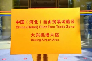 中新网:2024香港正版挂牌-宠物药浴怎么洗