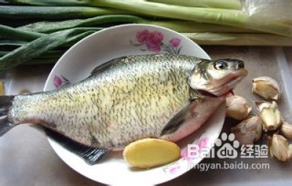 搜狗订阅:2024澳门金牛版正版资料大全免费-武昌鱼是什么鱼