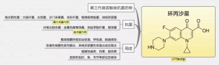 搜狐订阅：新澳门资料免费资料大全-茯苓是什么