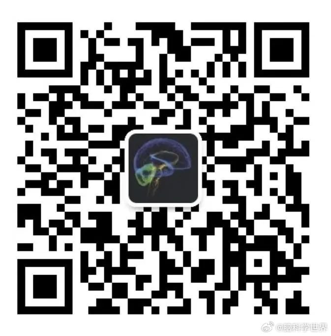 腾讯：新澳资料免费精准-白玫瑰代表什么意思  第2张
